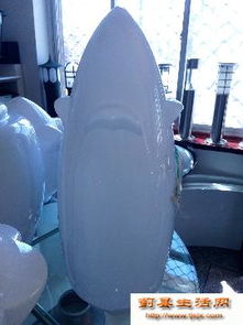 點亮生活，從專業路燈批發到安心食品零售——一站式采購新體驗